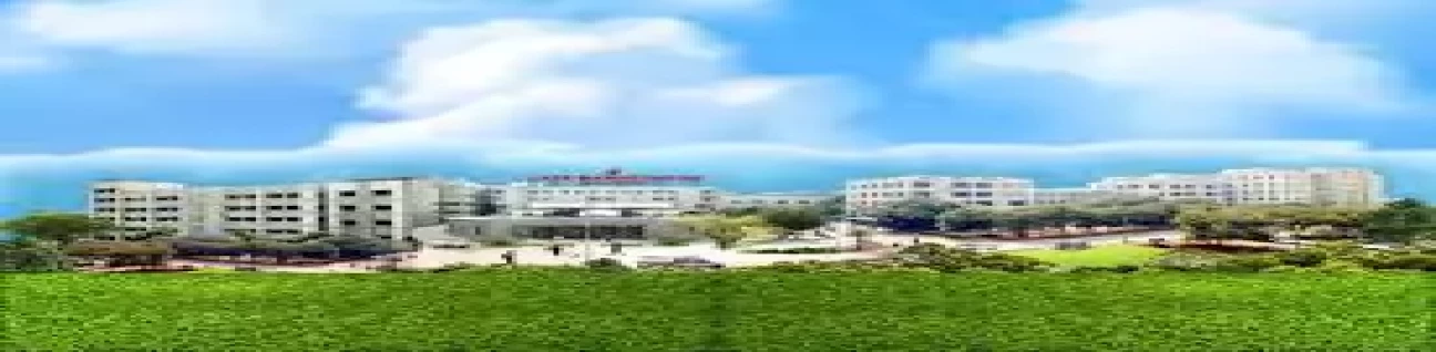 N. K. P. Salve Instt. Of Medical Sciences and Research Centre and Lata Mangeshkar Hospital image