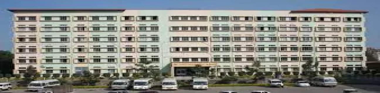 Smt. Kashibai Navale Medical College and General Hospital image