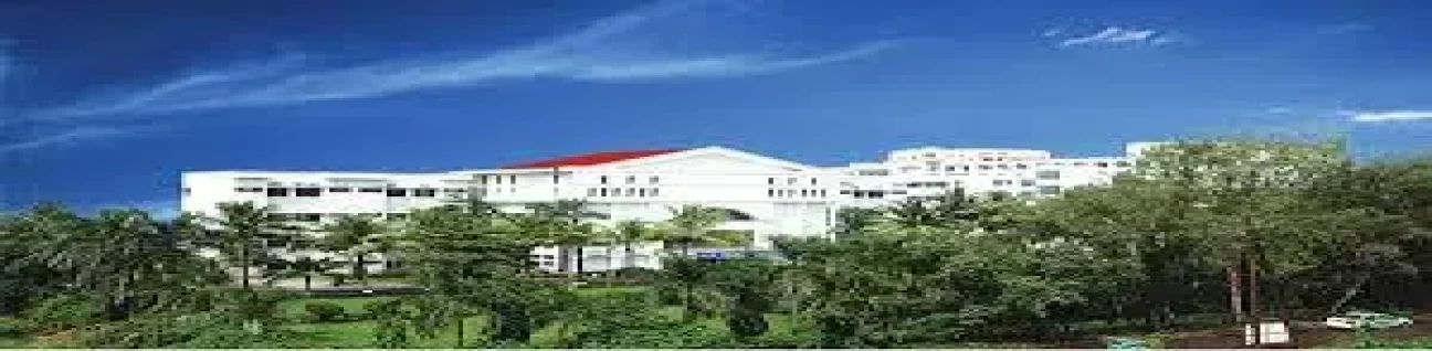 Mahatma Gandhi Mission Medical College, Vashi image
