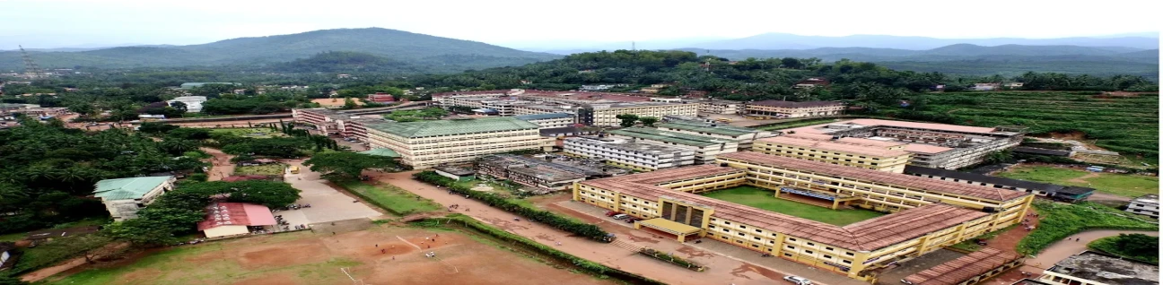 K V G Medical College image