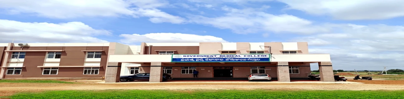 Government Medical College, Jogulumba
