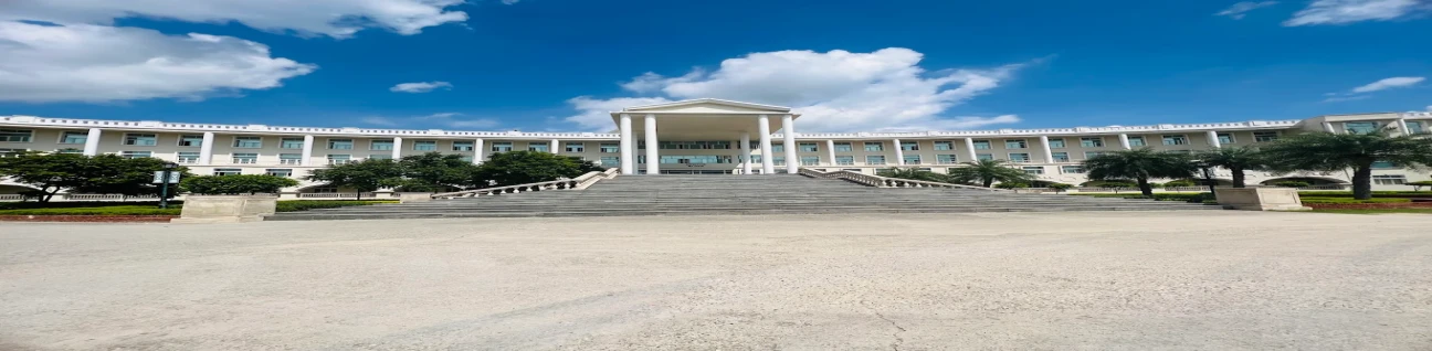 Noida International University