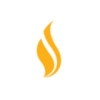 Apollo Institute of Medical Sciences and Research Logo